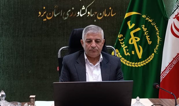 برداشت بیش از ۱۲۰ هزار تن انار