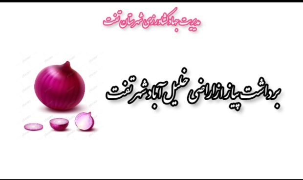 پیش‌بینی تولید ۲۰۰۰ تن محصولی با طعم و ماندگاری بی‌نظیر